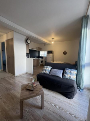 Appartement Entier 38m2 T2 Hyper Centre de DAX